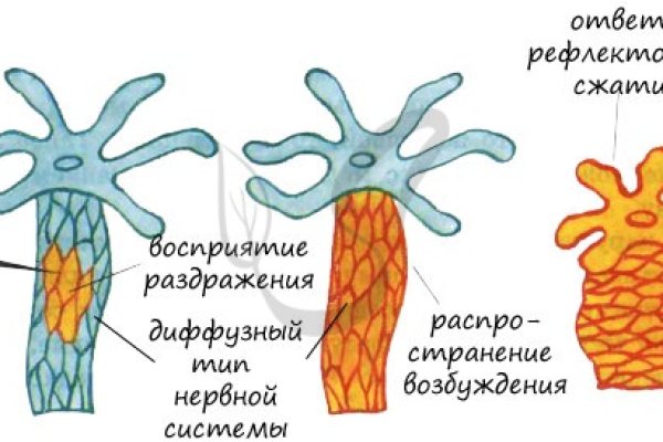 Кракен актуальные ссылки на сегодня